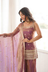 Woman in traditional outfit with a sheer dupatta indoors