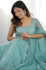 Woman wearing a light blue saree with a white background
