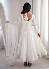 Festive Anarkli Suits with Fency Neck design